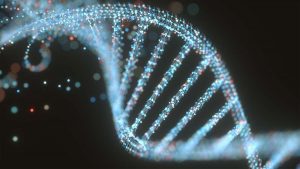 Importance Of Dna Analysis Aspect