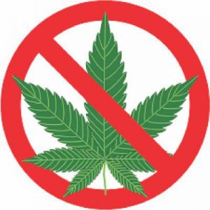 about laws related to marijuana